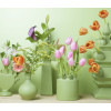All sorts of tulip vases you'll find at hollanddesignandgifts.com