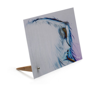 Baseball kaartenstandaard van Duo Design zwart rood blauw aluminium 